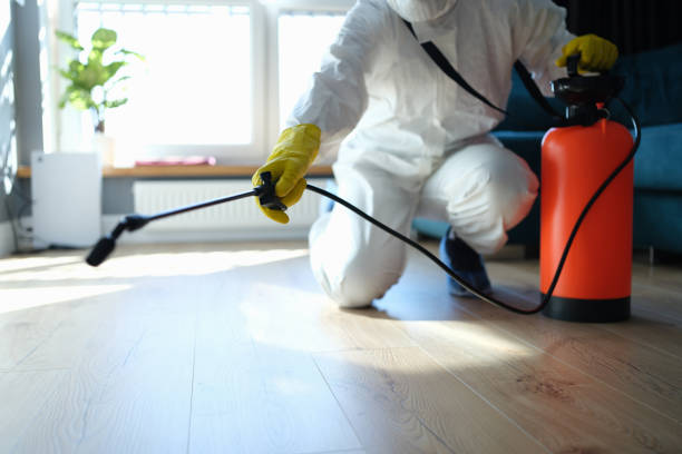 Reliable Sewage Cleanup contractor in Hudson, IL by Trauma Clean Pros